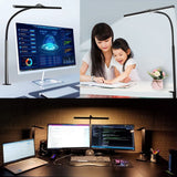 LED Dual Head Clamp Desk Lamp