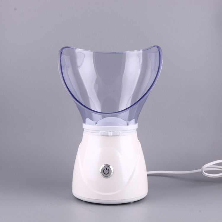 Home Humidifier & Beauty Atomizer