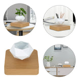 360° Floating Bonsai Planter for Modern Decor