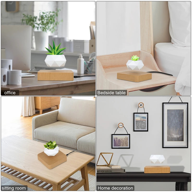 360° Floating Bonsai Planter for Modern Decor