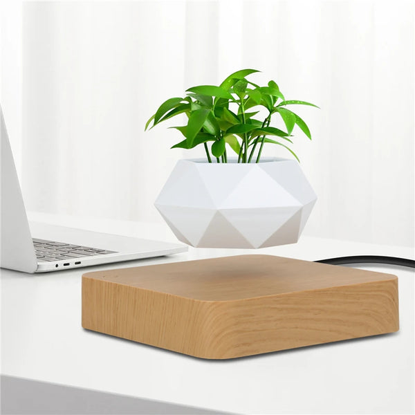 360° Floating Bonsai Planter for Modern Decor