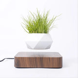 360° Floating Bonsai Planter for Modern Decor