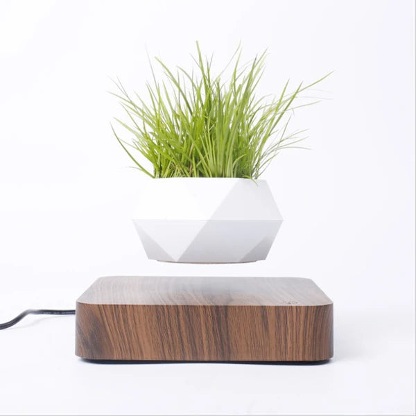 360° Floating Bonsai Planter for Modern Decor