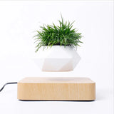 360° Floating Bonsai Planter for Modern Decor
