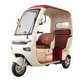 Factory Direct Sales With Shed Electric Tricycle Integrated Box Car Export Foreign Trade Electric Tricycle Processing 48V60V72V