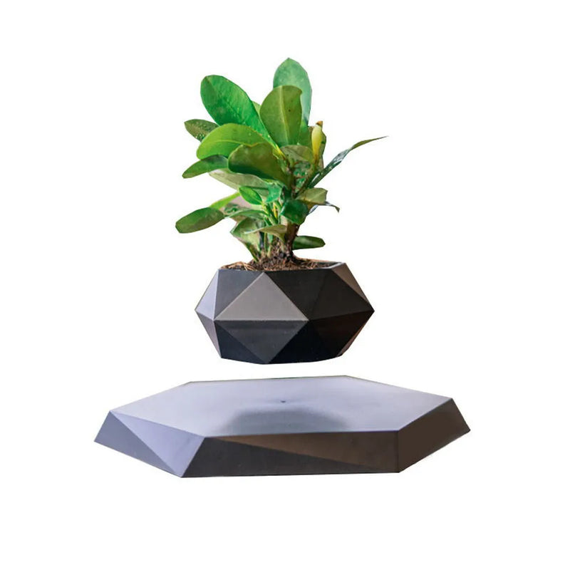 360° Floating Bonsai Planter for Modern Decor
