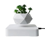 360° Floating Bonsai Planter for Modern Decor