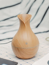 Breathe Easy USB Humidifier & LED Aroma Diffuser