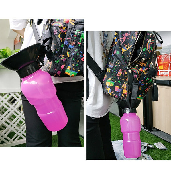 Portable Pet Water Bottle
