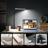 LED Dual Head Clamp Desk Lamp