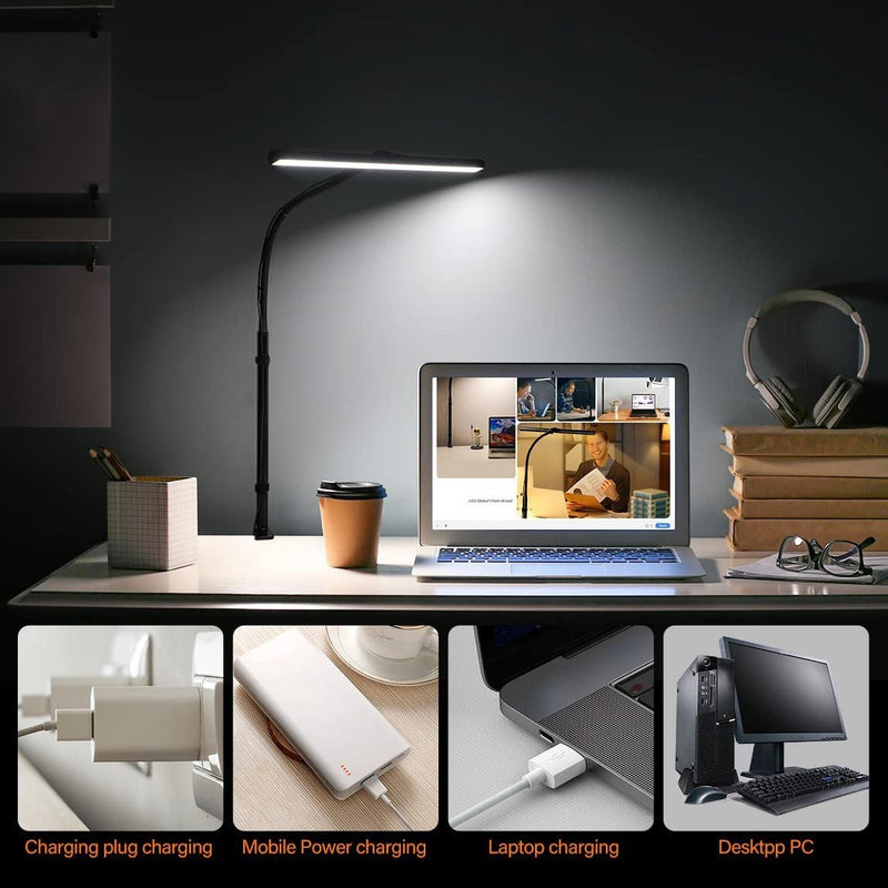 LED Dual Head Clamp Desk Lamp