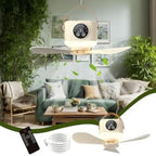 Fan with Stand