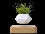 360° Floating Bonsai Planter for Modern Decor